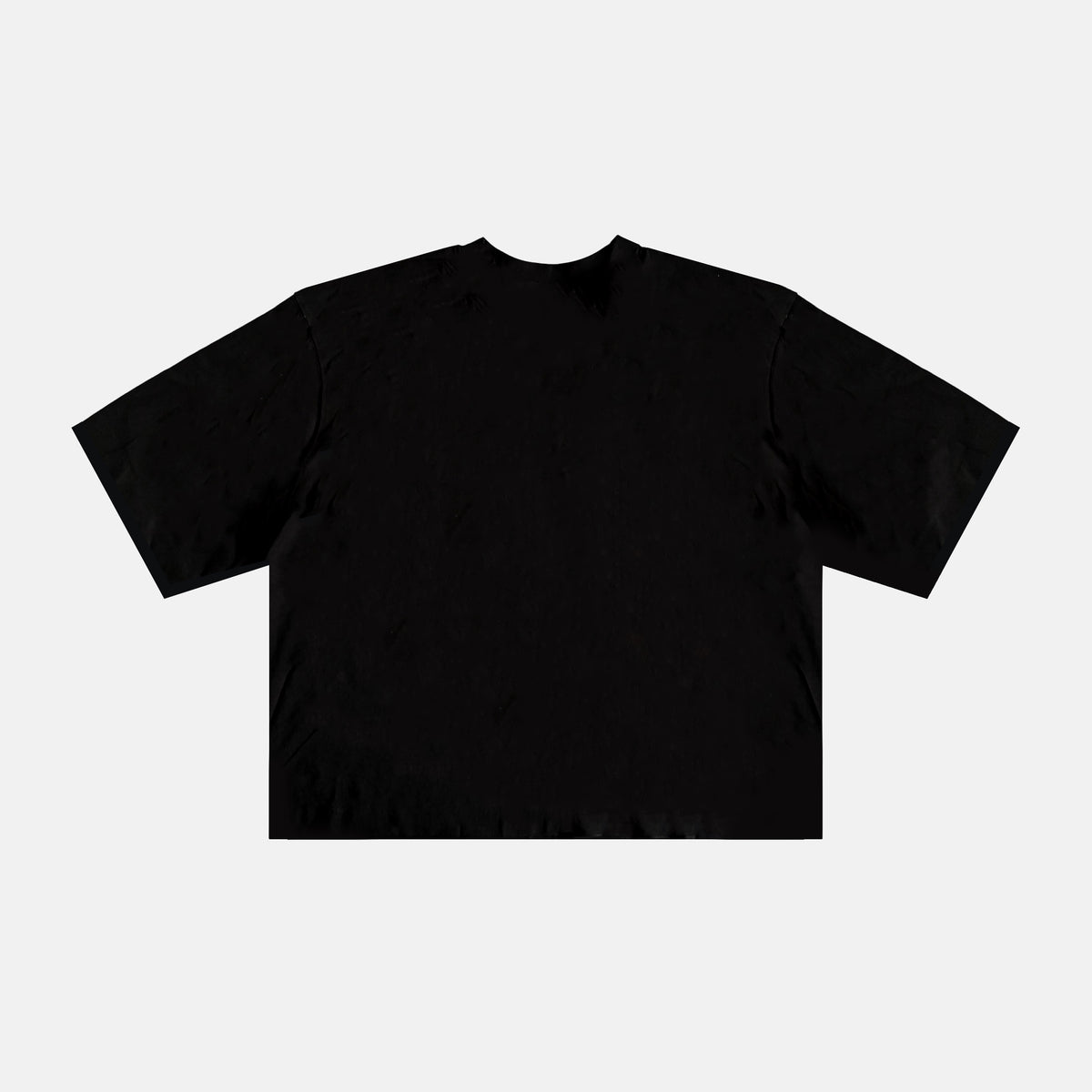 Ricerca T Shirt